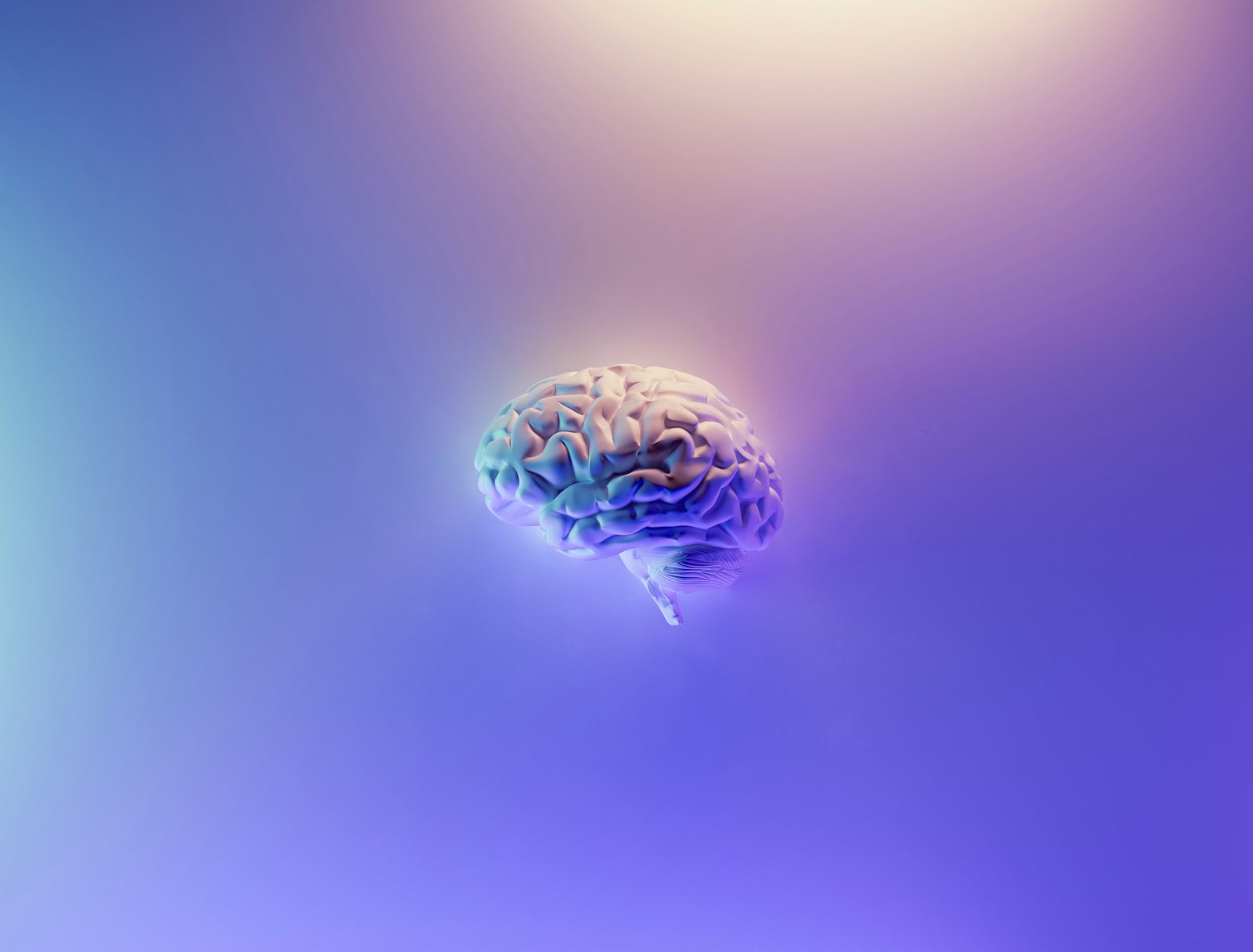 Brain & Cognition